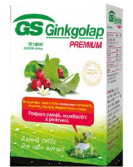 GS Ginkgolap