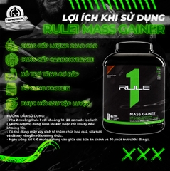 RULE1 MASS GAINER (6 LBS)