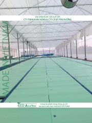 ECO AQUAPONIC - Xốp trồng rau thủy canh