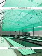 ECO AQUAPONIC - Xốp trồng rau thủy canh