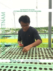 ECO AQUAPONIC - Xốp trồng rau thủy canh