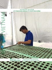 ECO AQUAPONIC - Xốp trồng rau thủy canh