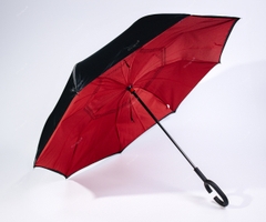 Ô GẤP NGƯỢC - TKN3(C1)- A44+A150