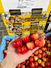 Cherry vàng Mỹ Monkey size 9.5 (jumbo)