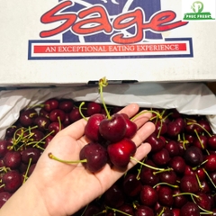 Cherry Mỹ Sage s9