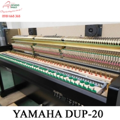 Yamaha DUP 20pe