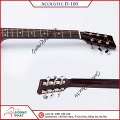 Guitar Acoustic D100