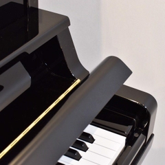 Yamaha YU5-SXG (Piano tự động)