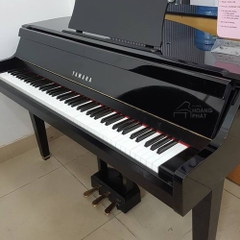 YAMAHA DGP-1