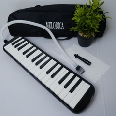 Kèn phím Melodion, Melodica, Pianica - nhạc cụ giáo dục cho trường học