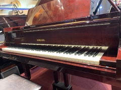 Grand Piano HORUGEL (R72051) 2P