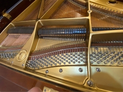 Grand Piano Yamaha G5 Wanut