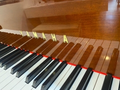 Grand Piano Yamaha G5 Wanut