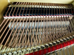 YAMAHA G5E (2640263)