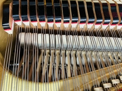 YAMAHA G5E (2640263)