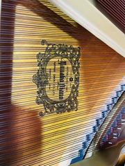 YAMAHA G5E (2640263)