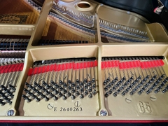 YAMAHA G5E (2640263)