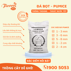 ĐÁ BỌT PUMICE - 50L