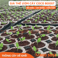 GIÁ THỂ ƯƠM CÂY COCO BOOST - 60L