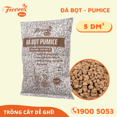 ĐÁ PUMICE - ĐÁ BỌT - 5L