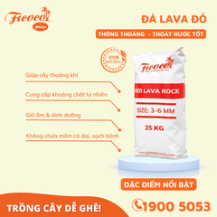 ĐÁ LAVA ĐỎ - 25KG