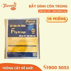 BẪY DÍNH CÔN TRÙNG - DẠNG MIẾNG