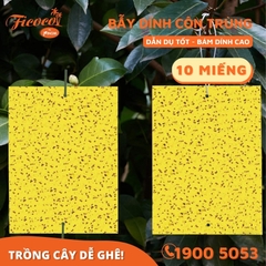 BẪY DÍNH CÔN TRÙNG - DẠNG MIẾNG