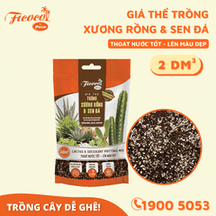 GIÁ THỂ TRỒNG XƯƠNG RỒNG & SEN ĐÁ - 2L