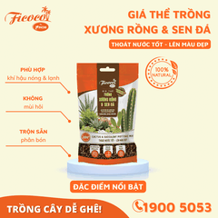 GIÁ THỂ TRỒNG XƯƠNG RỒNG & SEN ĐÁ - 2L