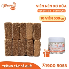 COMBO 10 VIÊN NÉN XƠ DỪA 500GR