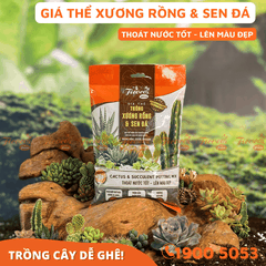 GIÁ THỂ TRỒNG XƯƠNG RỒNG & SEN ĐÁ - 2L