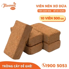 COMBO 10 VIÊN NÉN XƠ DỪA 500GR