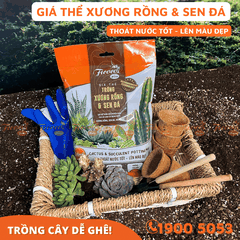 GIÁ THỂ TRỒNG XƯƠNG RỒNG & SEN ĐÁ - 2L