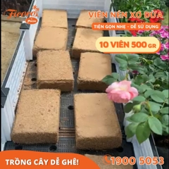 COMBO 10 VIÊN NÉN XƠ DỪA 500GR