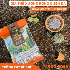 GIÁ THỂ TRỒNG XƯƠNG RỒNG & SEN ĐÁ - 2L