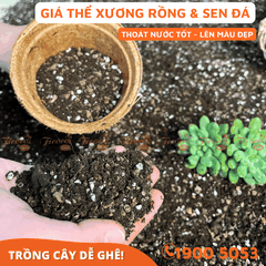 GIÁ THỂ TRỒNG XƯƠNG RỒNG & SEN ĐÁ - 2L