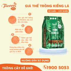 GIÁ THỂ TRỒNG KIỂNG LÁ - 7L