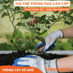 GIÁ THỂ TRỒNG HOA CAO CẤP - 20L