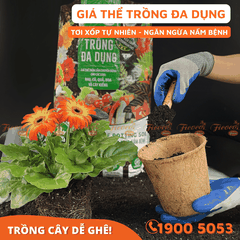 GIÁ THỂ TRỒNG ĐA DỤNG - 20L