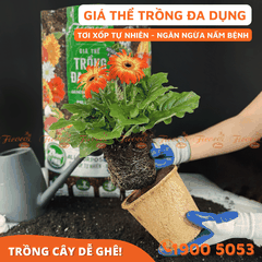 GIÁ THỂ TRỒNG ĐA DỤNG - 20L