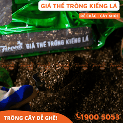 GIÁ THỂ TRỒNG KIỂNG LÁ - 7L