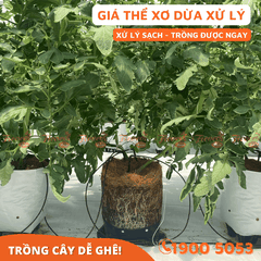 GIÁ THỂ XƠ DỪA XỬ LÝ COCO WOW - 50L