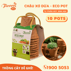 CHẬU XƠ DỪA ECO POT - 10 CHẬU