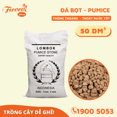 ĐÁ BỌT PUMICE - 50L