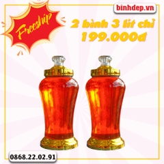 Combo 2 bình thủy tinh 3 lít giá rẻ ngâm rượu sâm