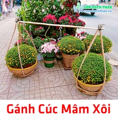 Gánh Cúc Mâm Xôi Trang Trí Tiểu Cảnh Tết