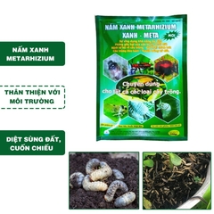 Chế Phẩm Sinh Học Nấm Xanh Metarhizium