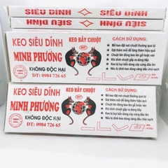 Keo Dính Chuột - Loại Hộp