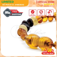 Bộ Vòng Hổ Phách Amber Úc Cho Bé 0 - 3 tuổi ( Mẫu Đặc Biệt ) SABLMT9