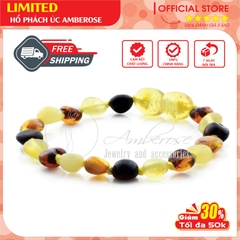 Bộ Vòng Hổ Phách Amber Úc Cho Bé 0 - 3 tuổi SABM4MOLDV